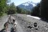 alaskajune201606860_small.jpg