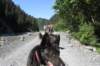 alaskajune201606900_small.jpg