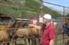 alaskajune201608280_small.jpg