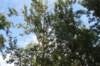alaskajune201608810_small.jpg