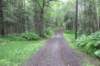 alaskajune201611620_small.jpg