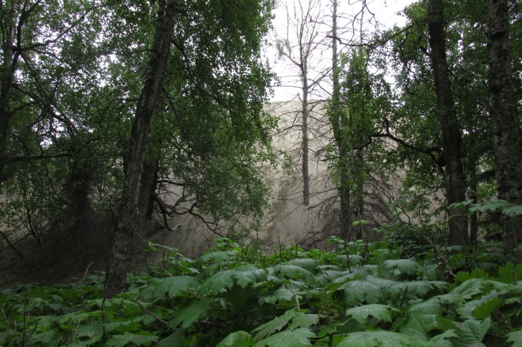 alaskajune201611670.jpg
