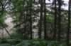 alaskajune201611820_small.jpg