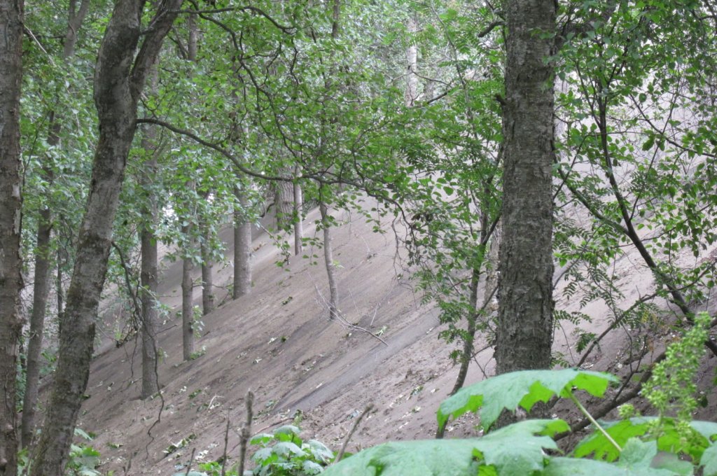 alaskajune201611830.jpg