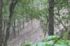 alaskajune201611830_small.jpg