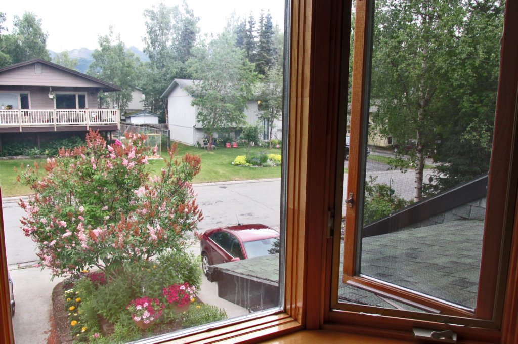 alaskajune201612050.jpg