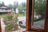 alaskajune201612050_small.jpg