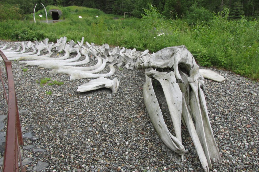 alaskajune201612900.jpg