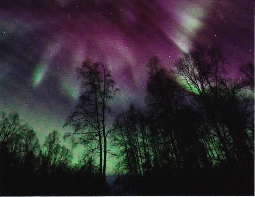 aurora1.jpg