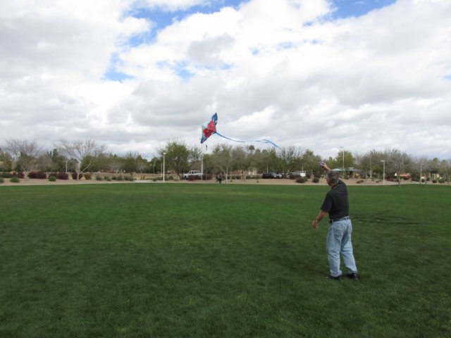 arizona_img_2474_20150223.jpg