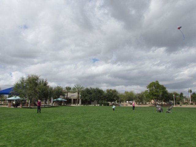 arizona_img_2483_20150223.jpg