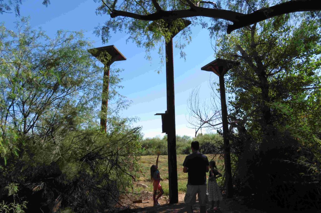 arizonatripoct20221700.jpg