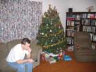 daveandtree_small.jpg