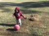 img_0086a_small.jpg