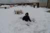 utahdec20172160_small.jpg