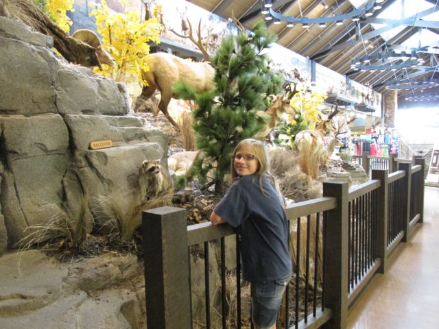 coloradotripjune20150160.jpg
