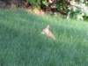 coloradotripjune20150230_small.jpg