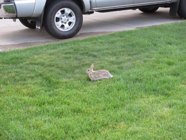 coloradotripjune20150240.jpg