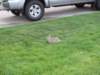 coloradotripjune20150240_small.jpg