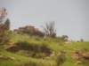 zephyrtrainjune20150550_small.jpg
