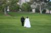 img_9100mod2_small.jpg