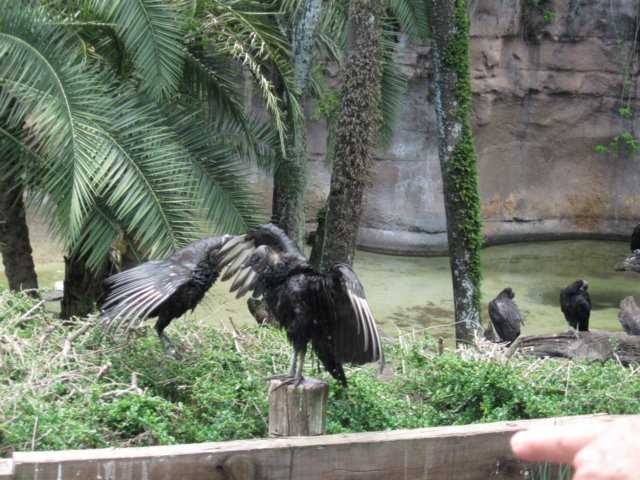 img_3058.jpg