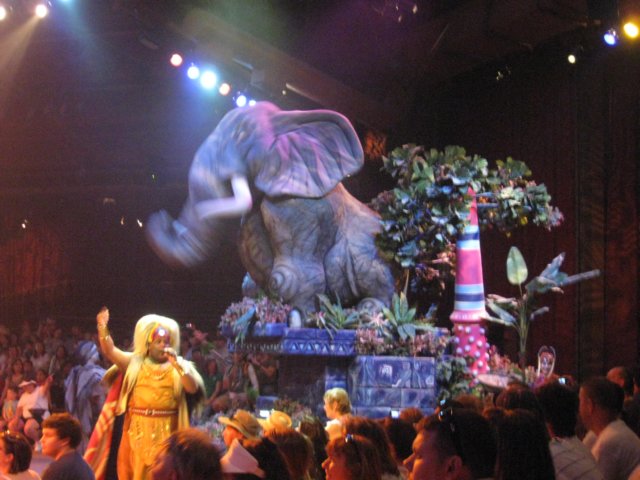 img_3137.jpg