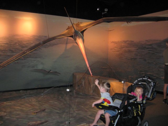 img_6539.jpg