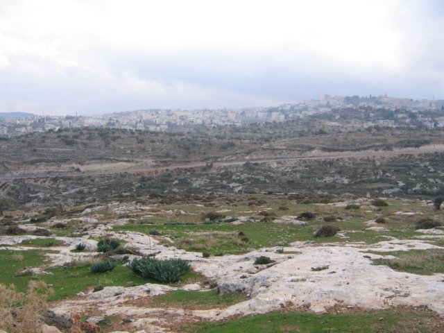 img_7199.jpg