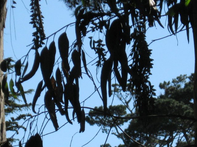 img_0849.jpg