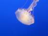 img_0982_small.jpg