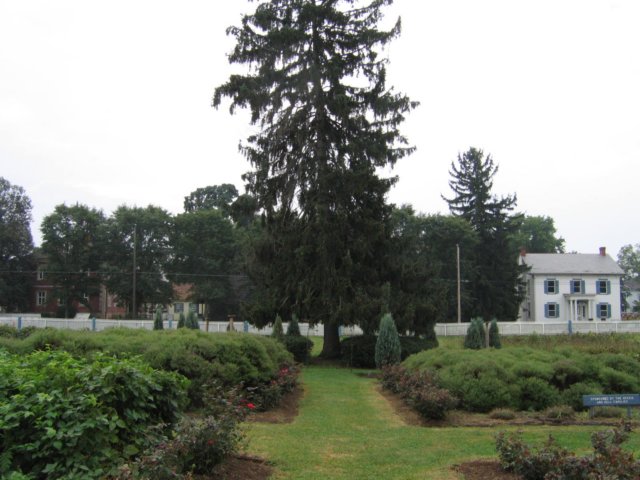 img_9159.jpg
