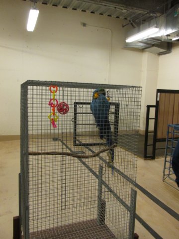 oklabransonsept20151670.jpg