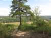oklabransonsept20152080_small.jpg