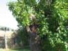 img_8524_small.jpg
