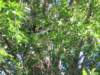 img_8532_small.jpg