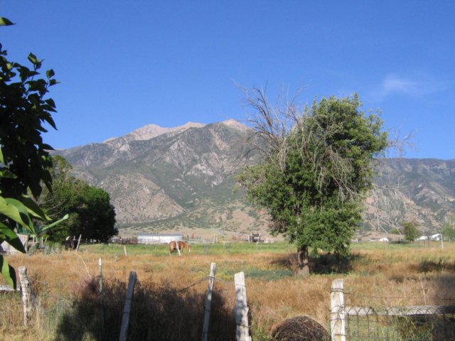 img_8534.jpg