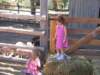 img_8594_small.jpg