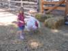 img_8596_small.jpg