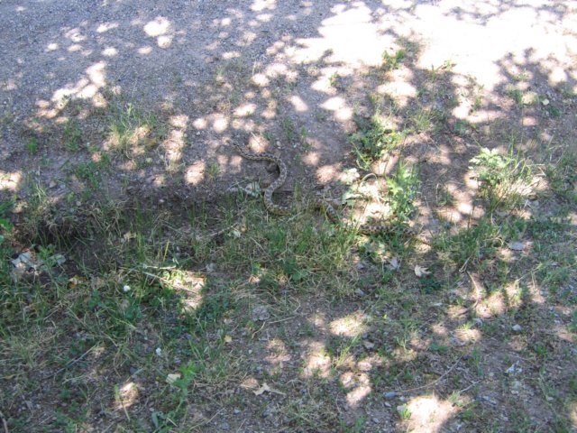 img_8607.jpg
