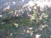 img_8607_small.jpg