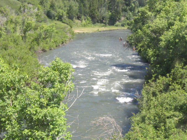 img_8750.jpg