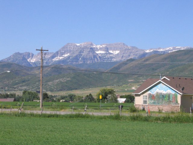 img_8765.jpg