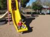 img_5520_small.jpg