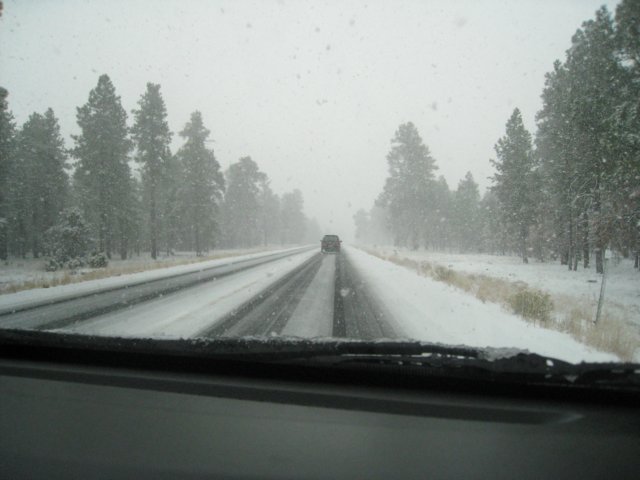 snowgc2.jpg