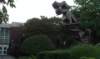 imag0252_small.jpg