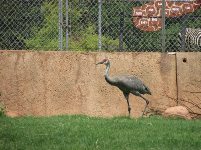 img_0713.jpg