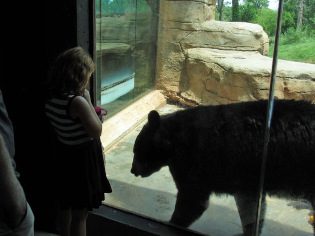 img_0725a.jpg