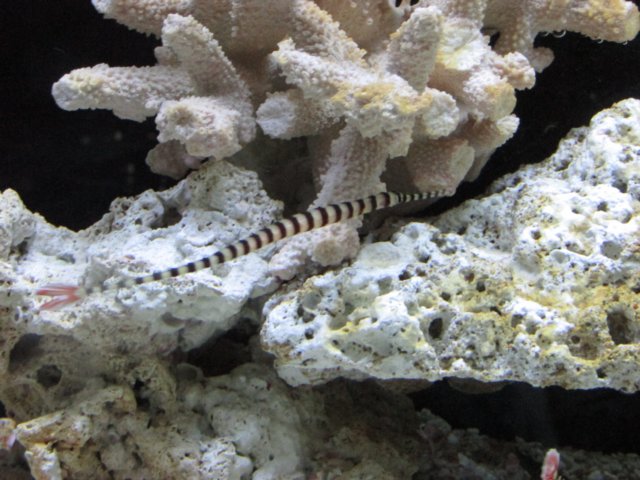 img_0759.jpg