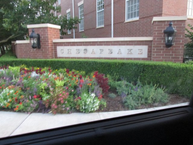 img_0765.jpg